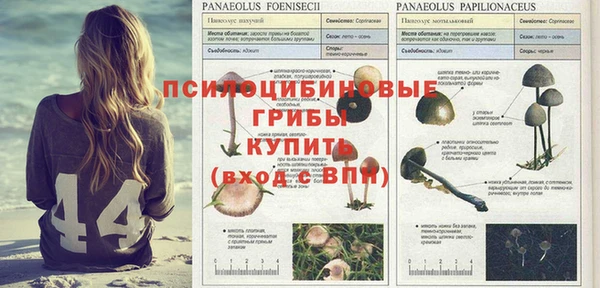 кокс Магадан