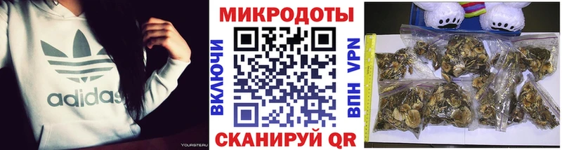 Псилоцибиновые грибы мухоморы  Белокуриха 