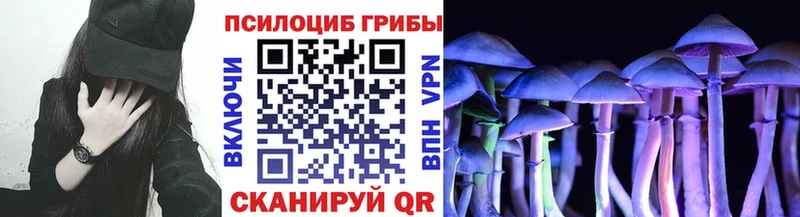 Псилоцибиновые грибы MAGIC MUSHROOMS Белокуриха